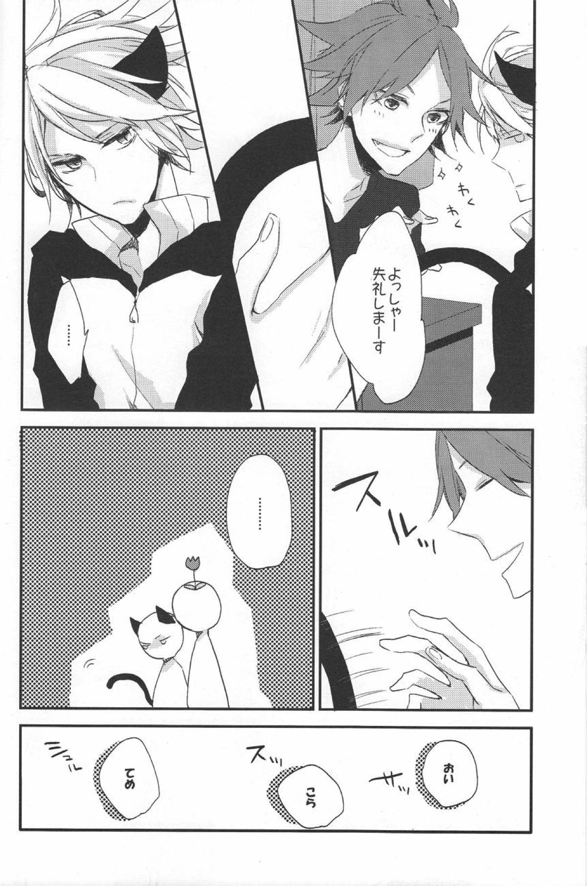 にゃん×3【イナズマイレブン/ガゼバン(涼南)】 page 15