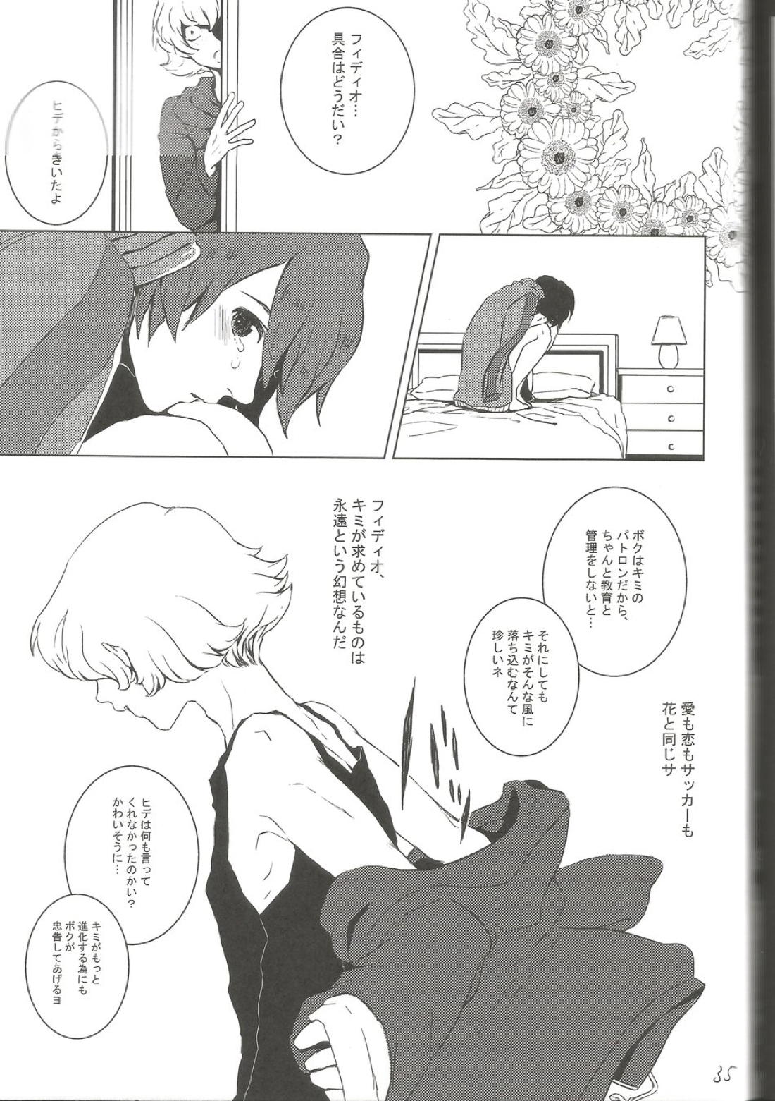 BLU DAISY【イナズマイレブン/ヒデ×フィディオ】 page 30