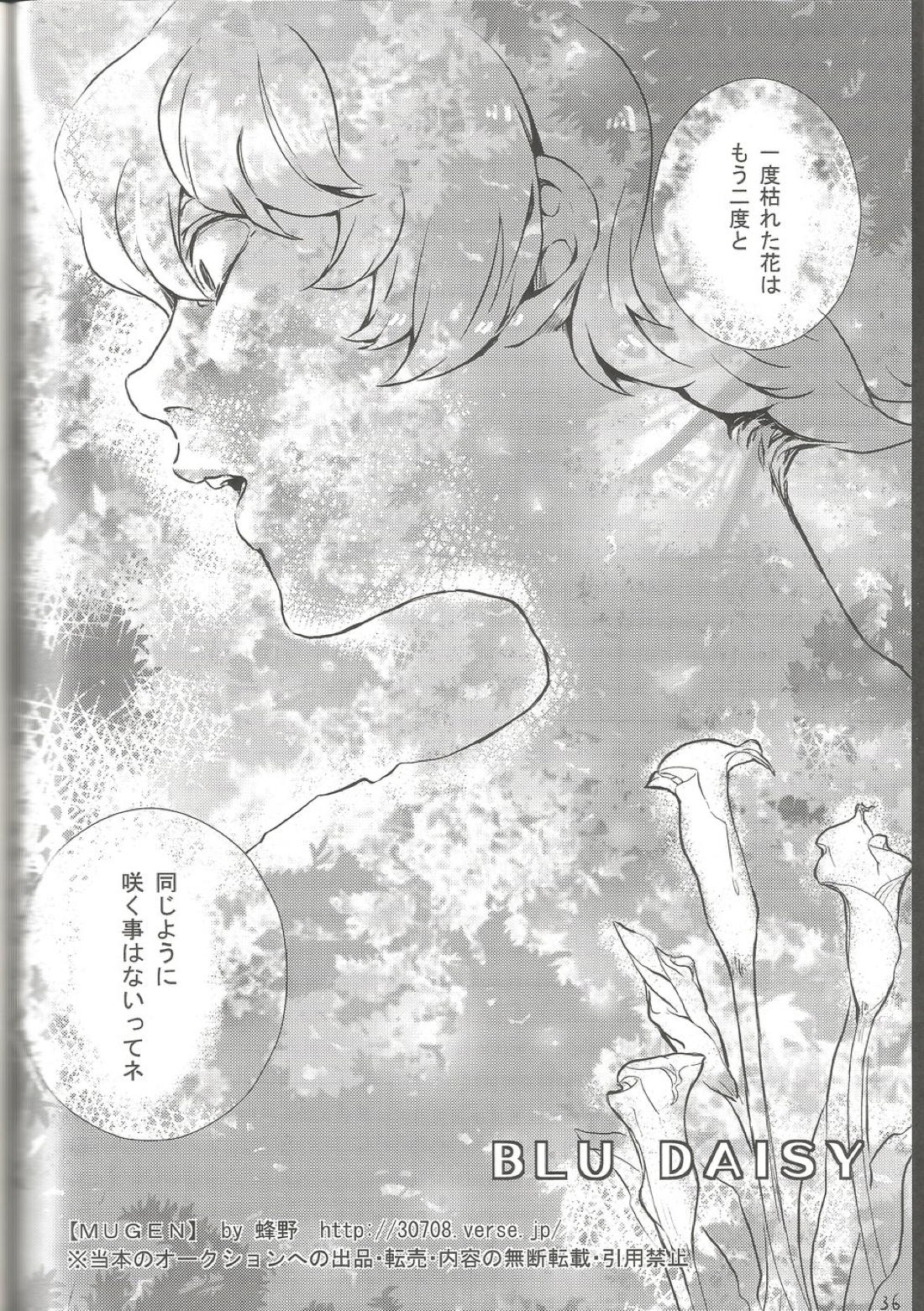 BLU DAISY【イナズマイレブン/ヒデ×フィディオ】 page 31