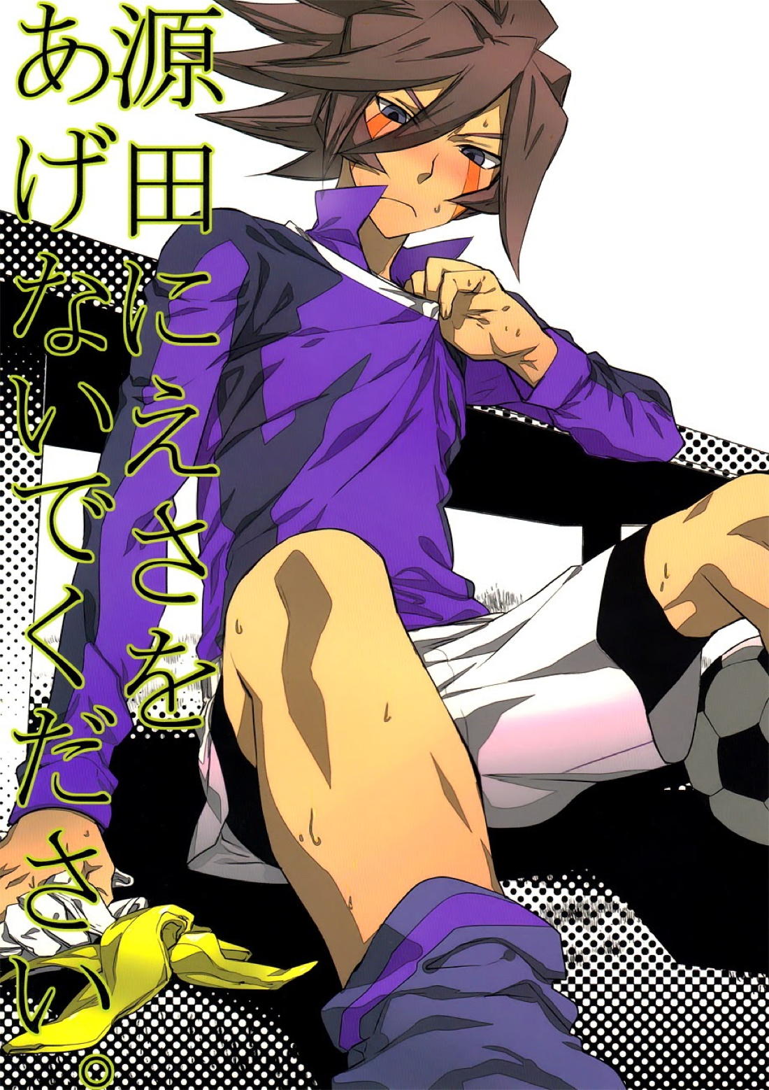 BL manga "源田にえさをあげないでください。【イナズマイレブン】" cover image