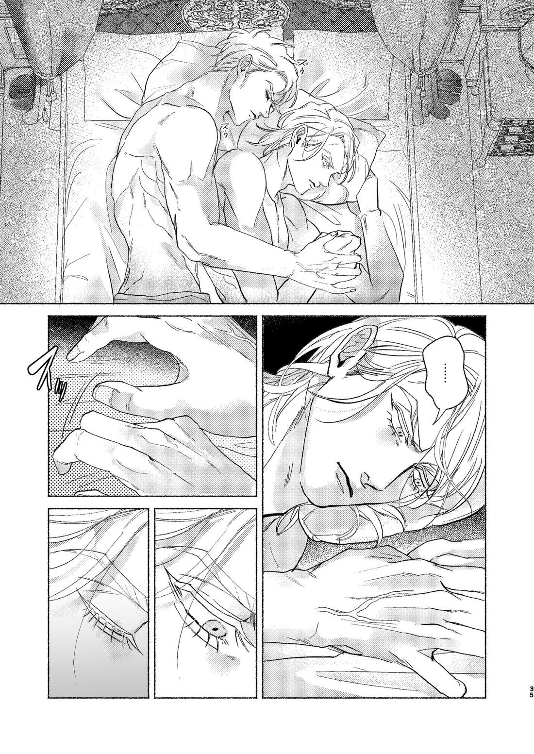 Night Hawk【ジョジョの奇妙な冒険/リゾプロ】 page 34