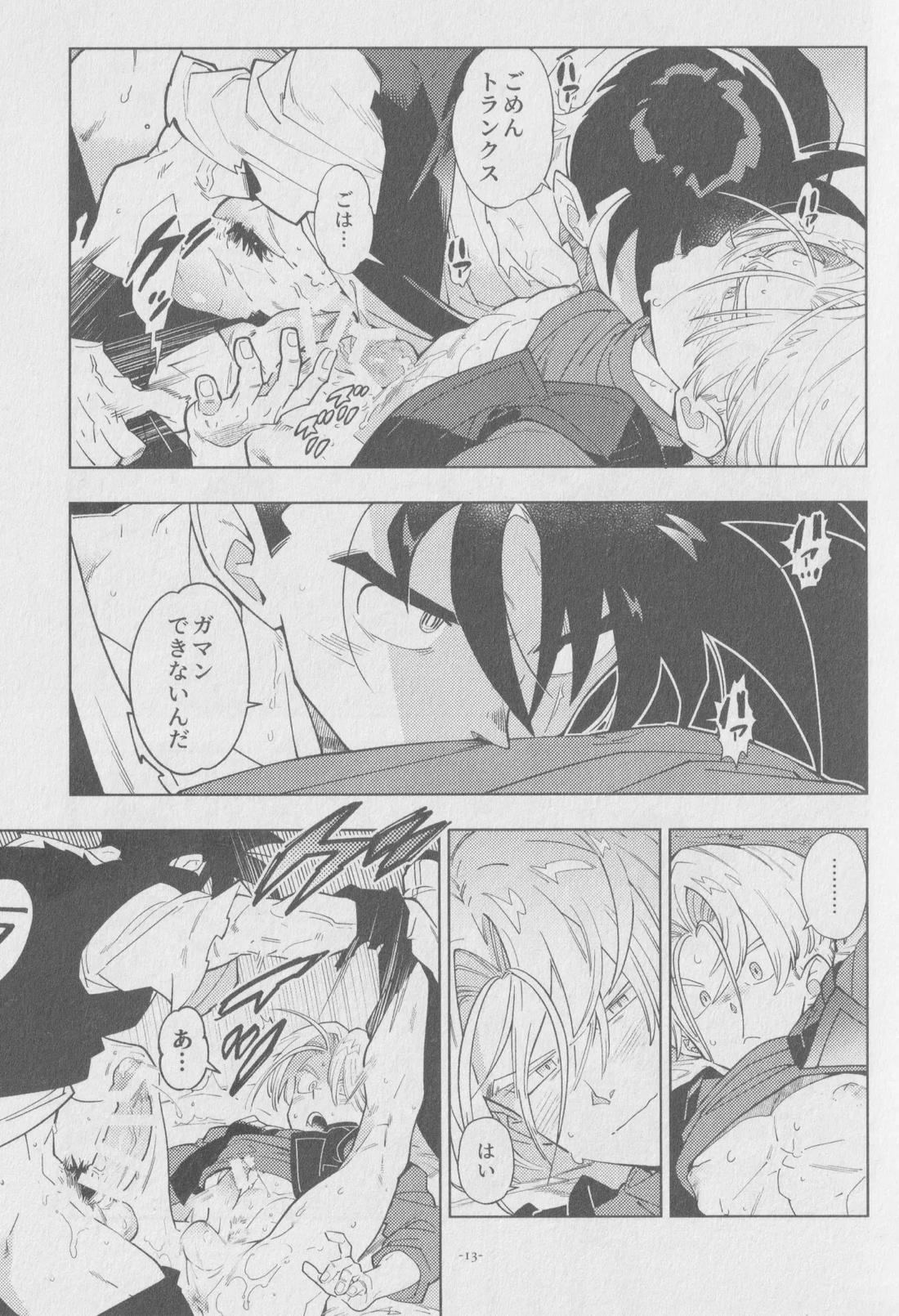 Pillow talk【ドラゴンボール/飯トラ】 page 12