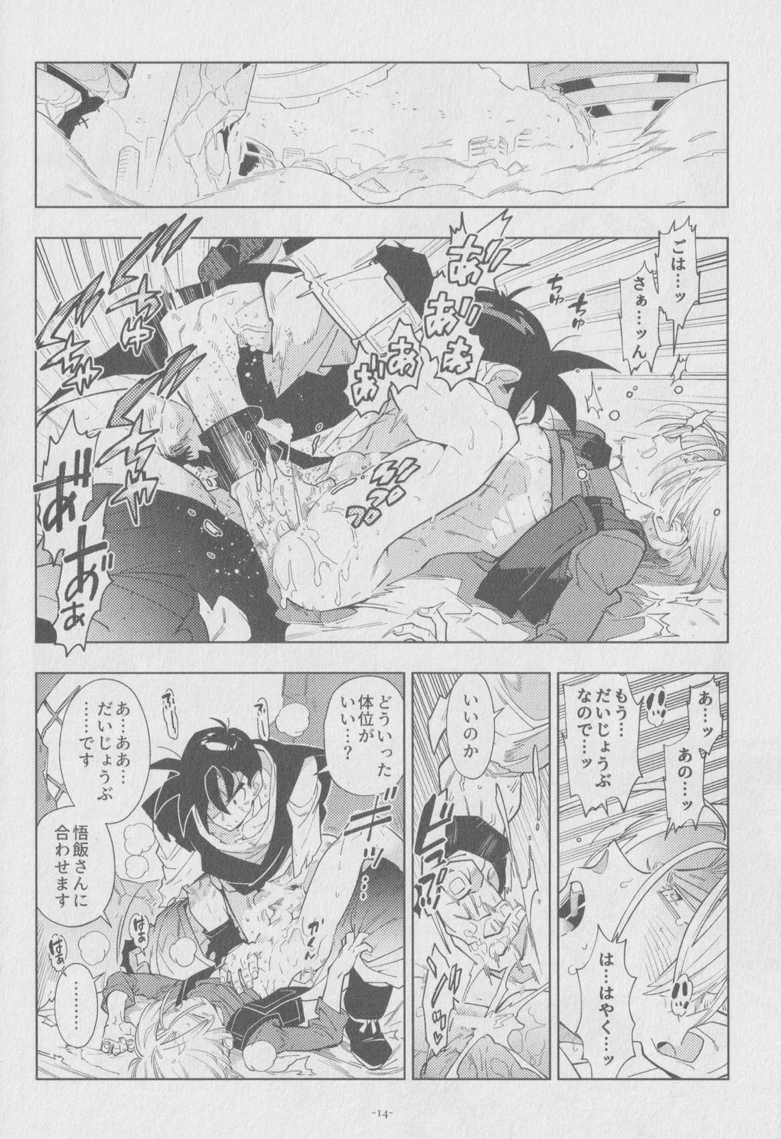 Pillow talk【ドラゴンボール/飯トラ】 page 13
