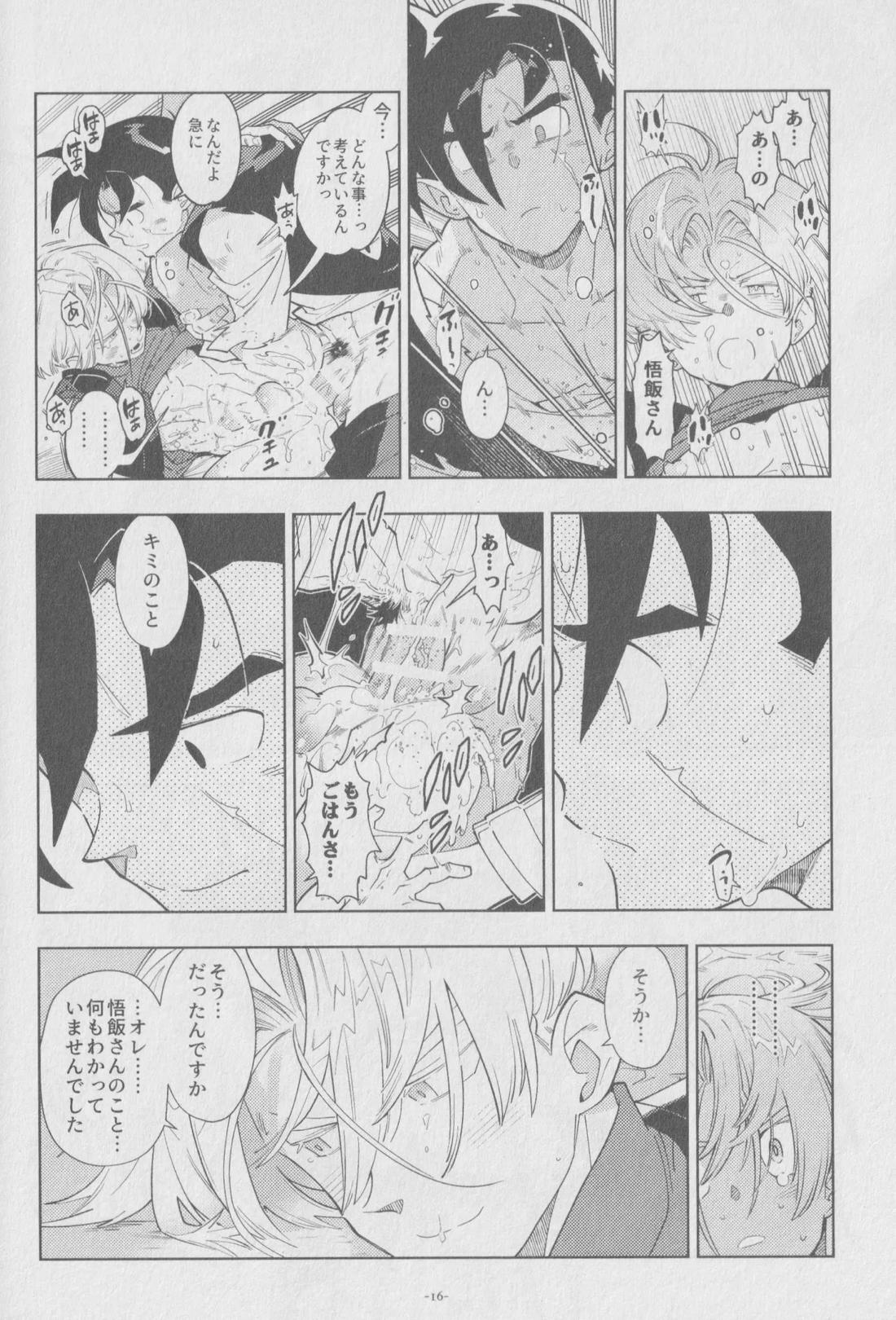 Pillow talk【ドラゴンボール/飯トラ】 page 15