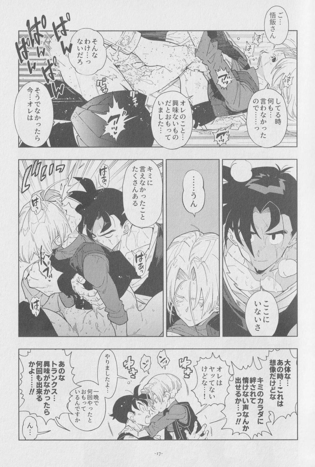 Pillow talk【ドラゴンボール/飯トラ】 page 16