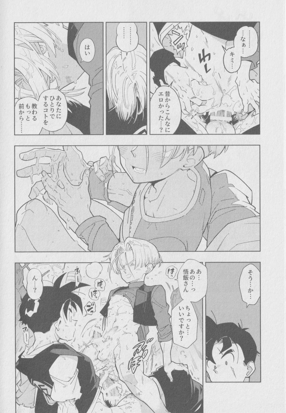 Pillow talk【ドラゴンボール/飯トラ】 page 17