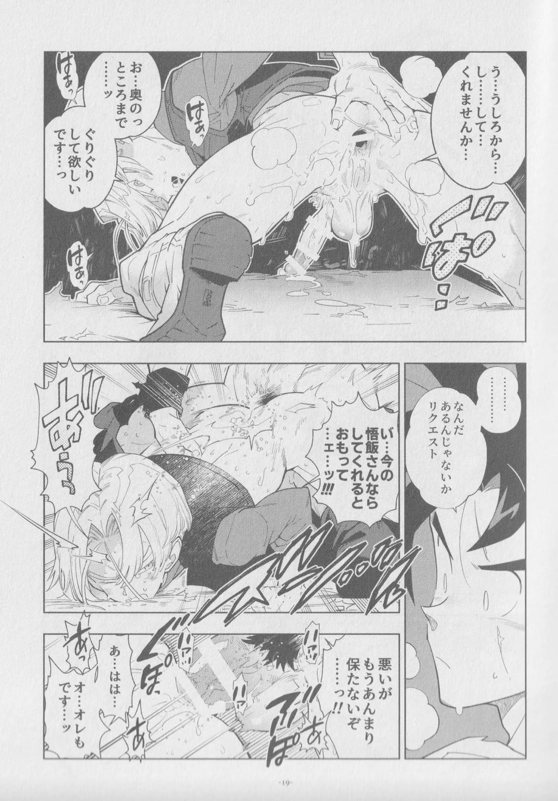 Pillow talk【ドラゴンボール/飯トラ】 page 18