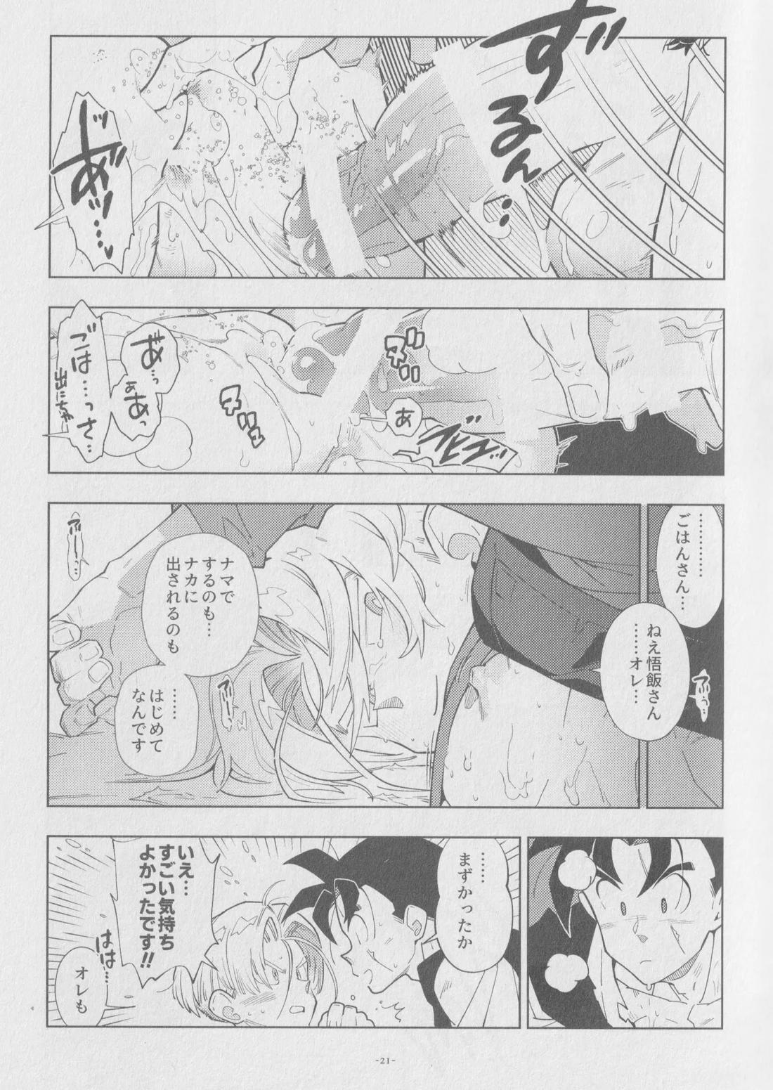 Pillow talk【ドラゴンボール/飯トラ】 page 20