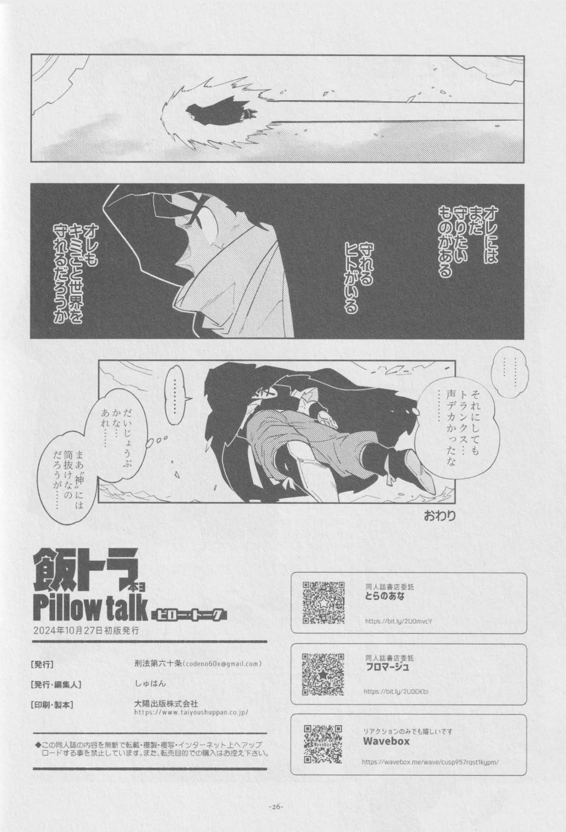 Pillow talk【ドラゴンボール/飯トラ】 page 25