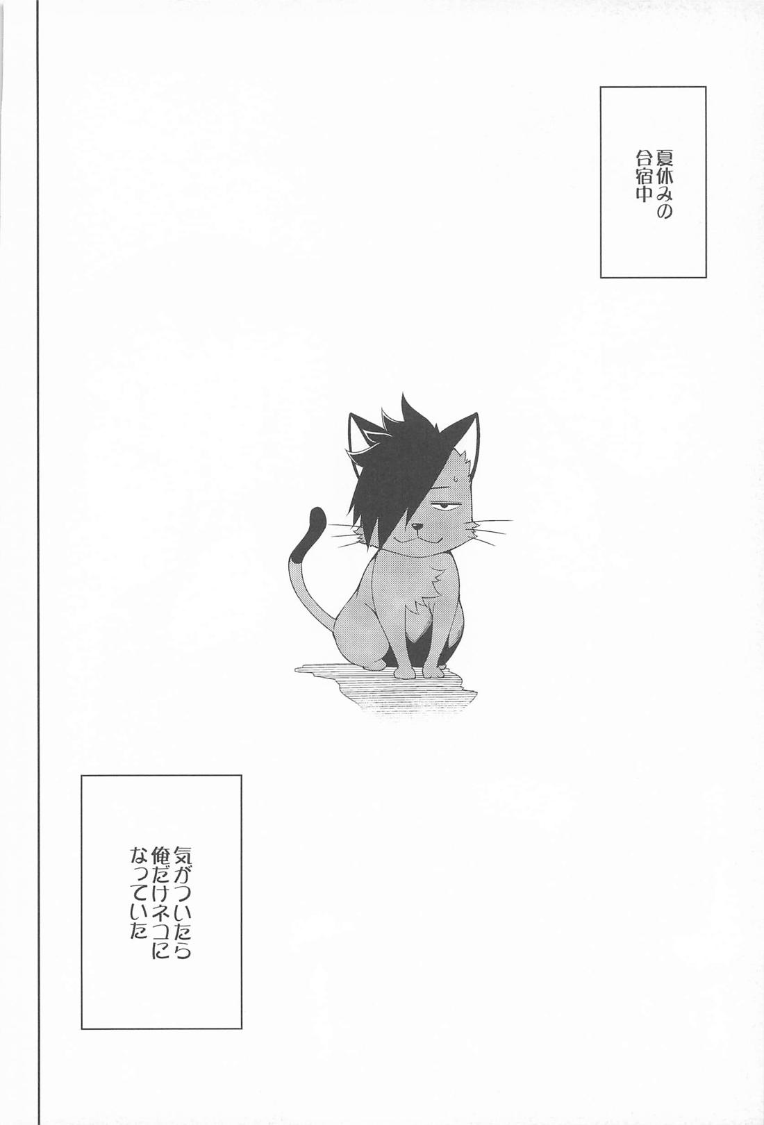 NEKO Re；Collection【ハイキュー!!/黒弧】 page 19