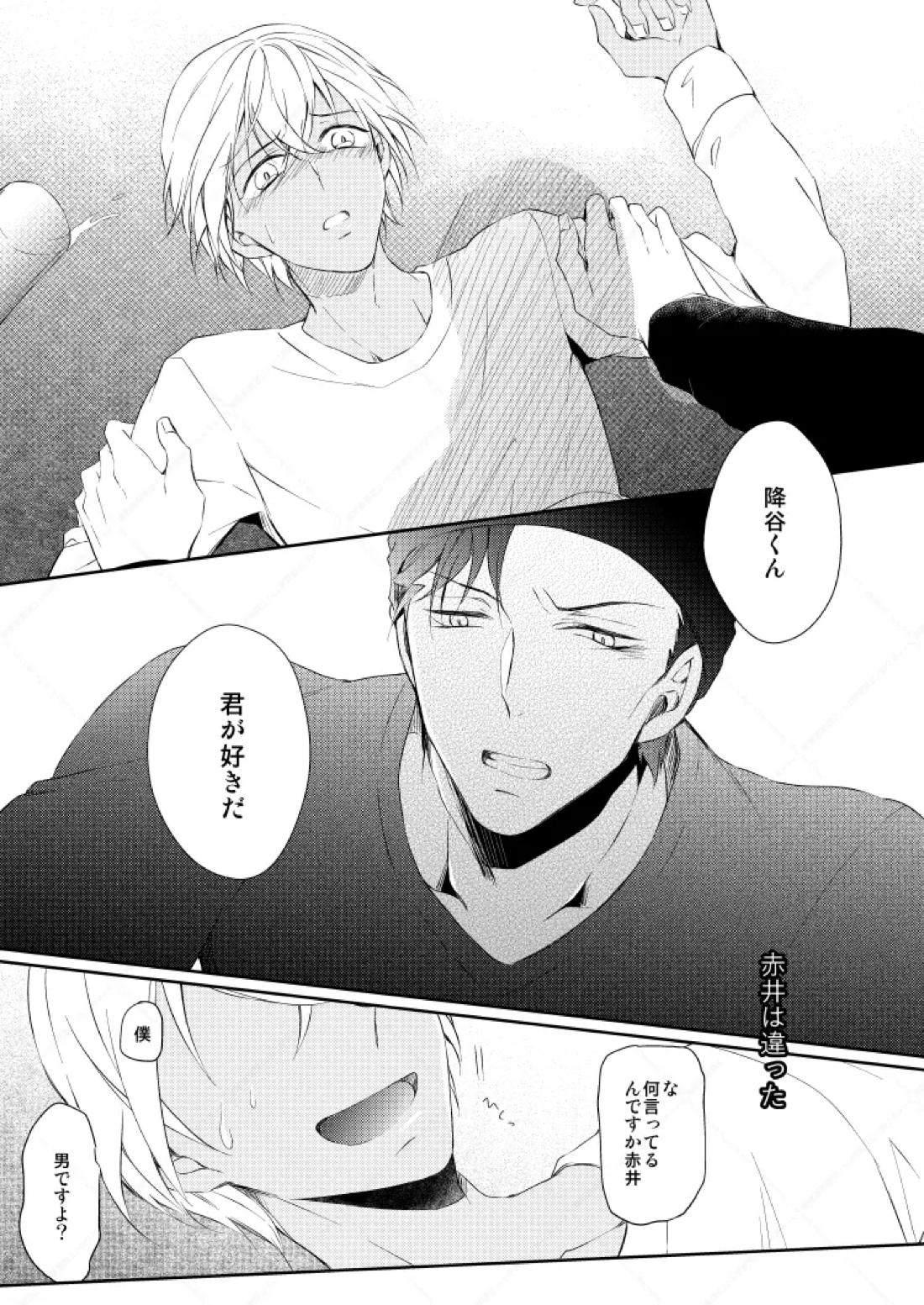 Drink×Drink【名探偵コナン/赤降(赤井×降谷)】 page 14