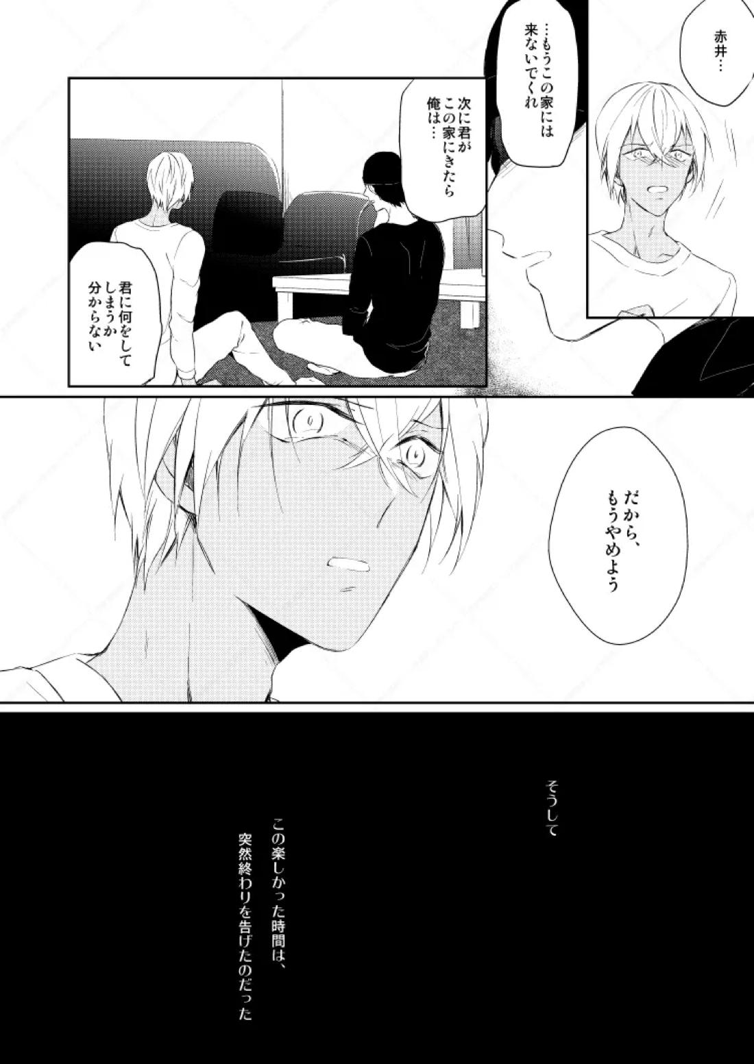 Drink×Drink【名探偵コナン/赤降(赤井×降谷)】 page 17