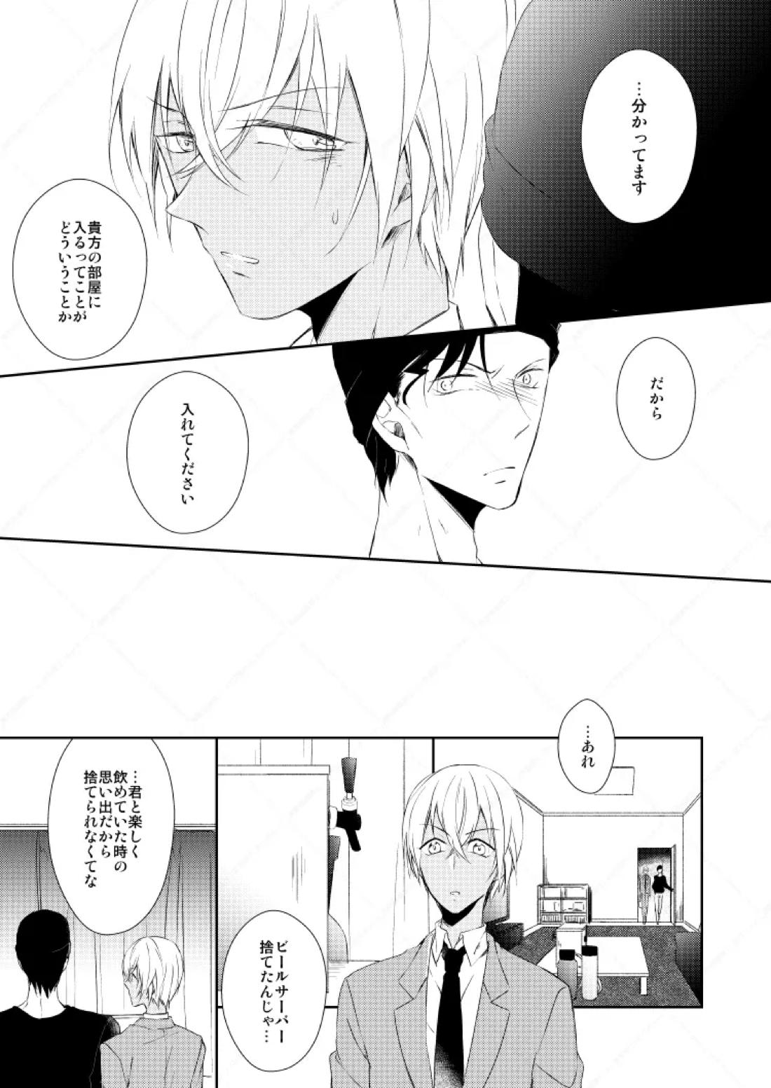 Drink×Drink【名探偵コナン/赤降(赤井×降谷)】 page 28