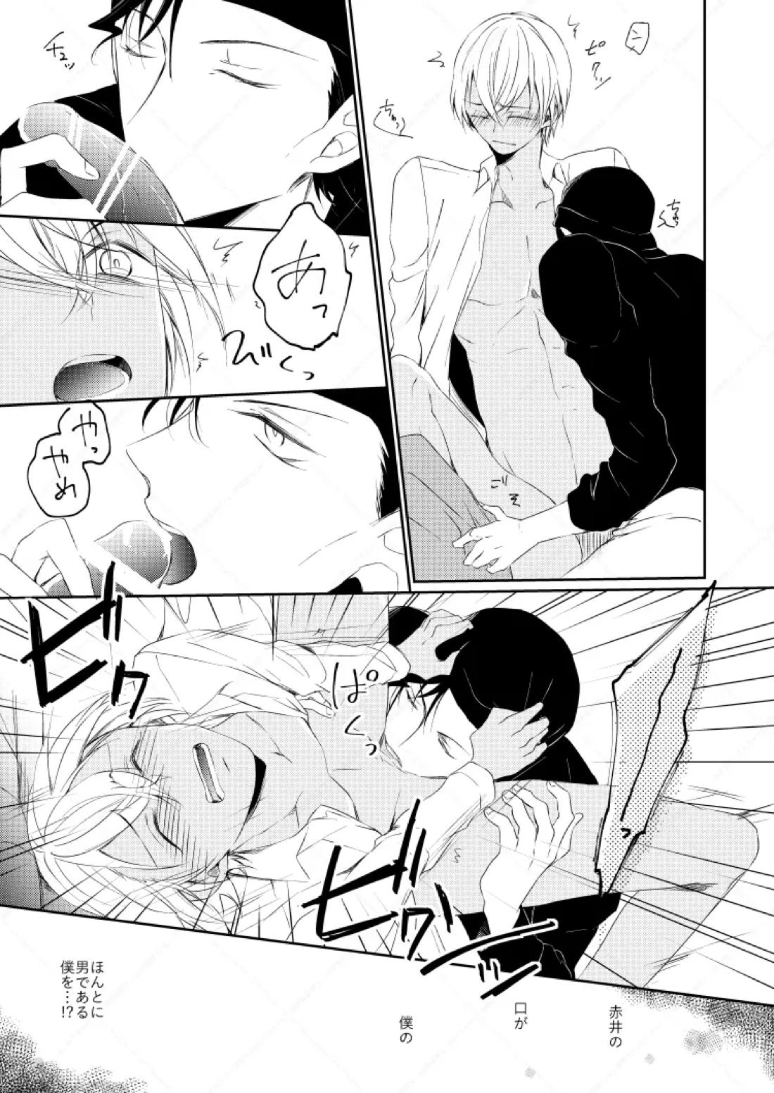 Drink×Drink【名探偵コナン/赤降(赤井×降谷)】 page 30