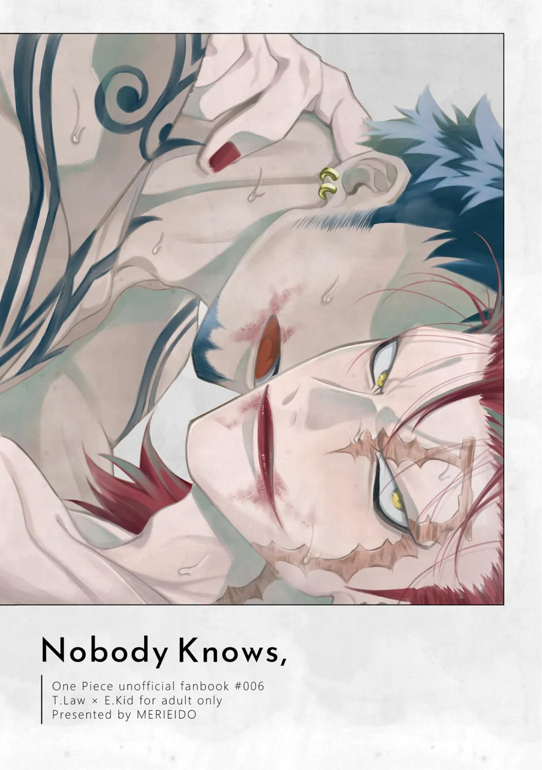 BL manga "Nobody Knows,【ONE PIECE/キドロ】" cover image
