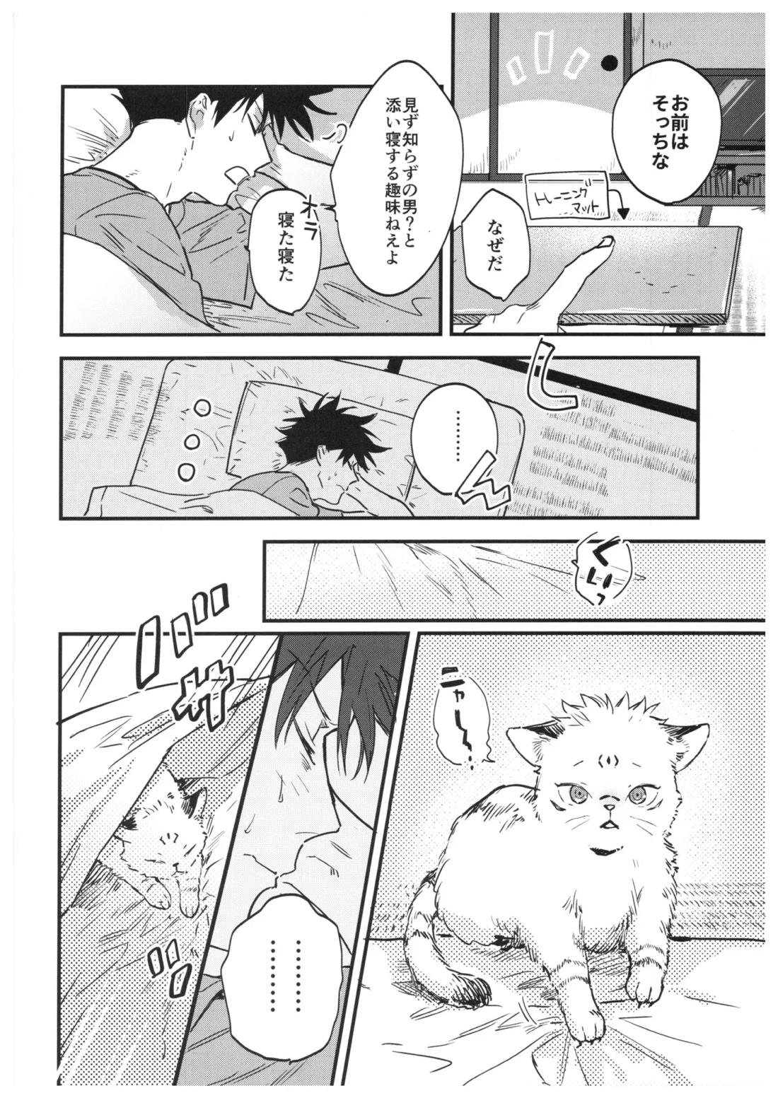 FUSHI TO NEKO【呪術廻戦/伏宿】 page 13