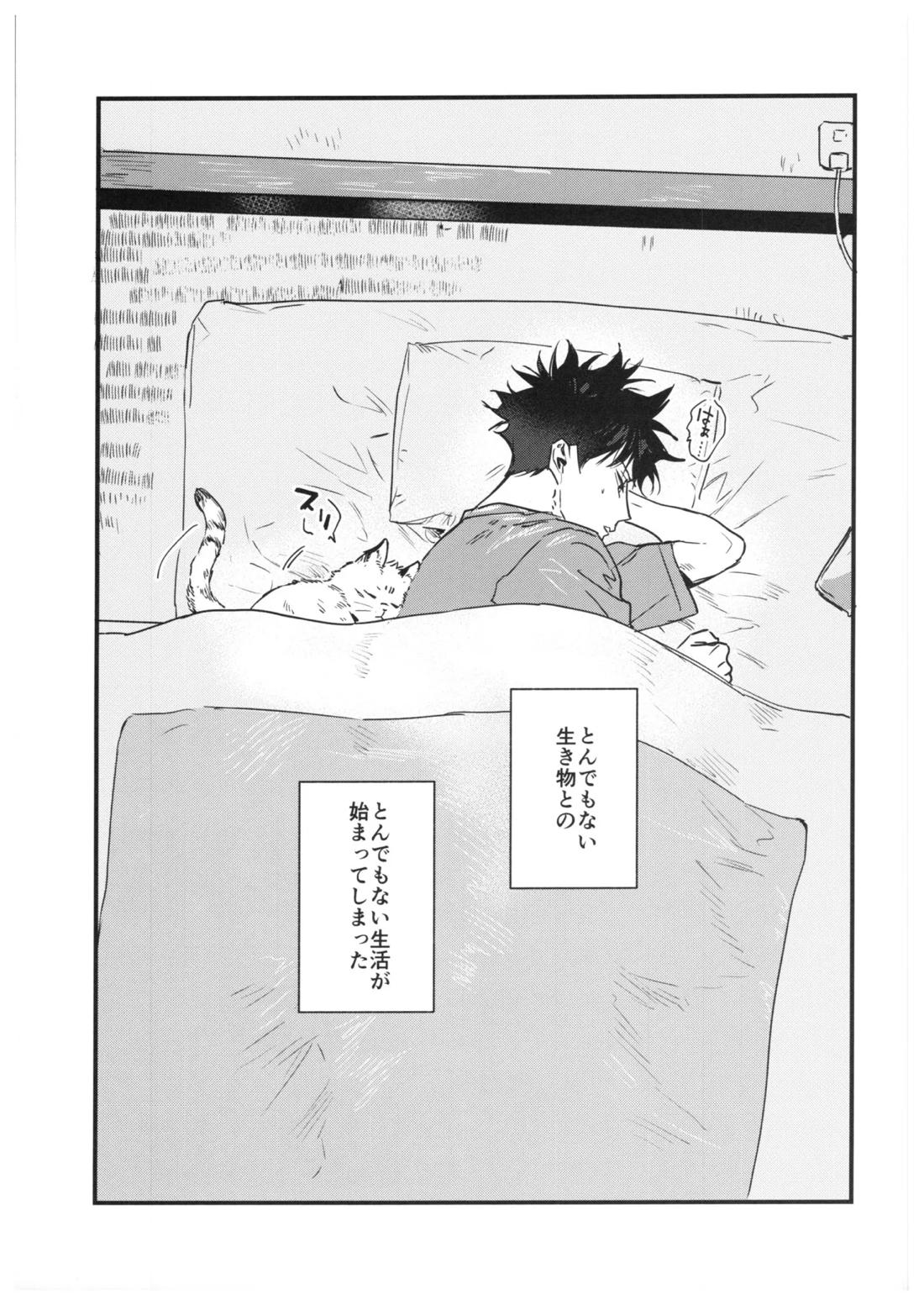 FUSHI TO NEKO【呪術廻戦/伏宿】 page 14