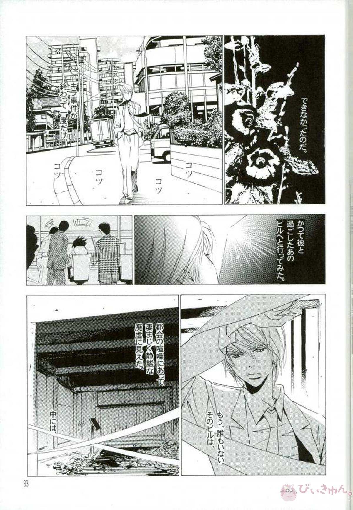 DISAPPEAR DETHNOTE fanbook【DEATH NOTE/夜神月×L】 page 31