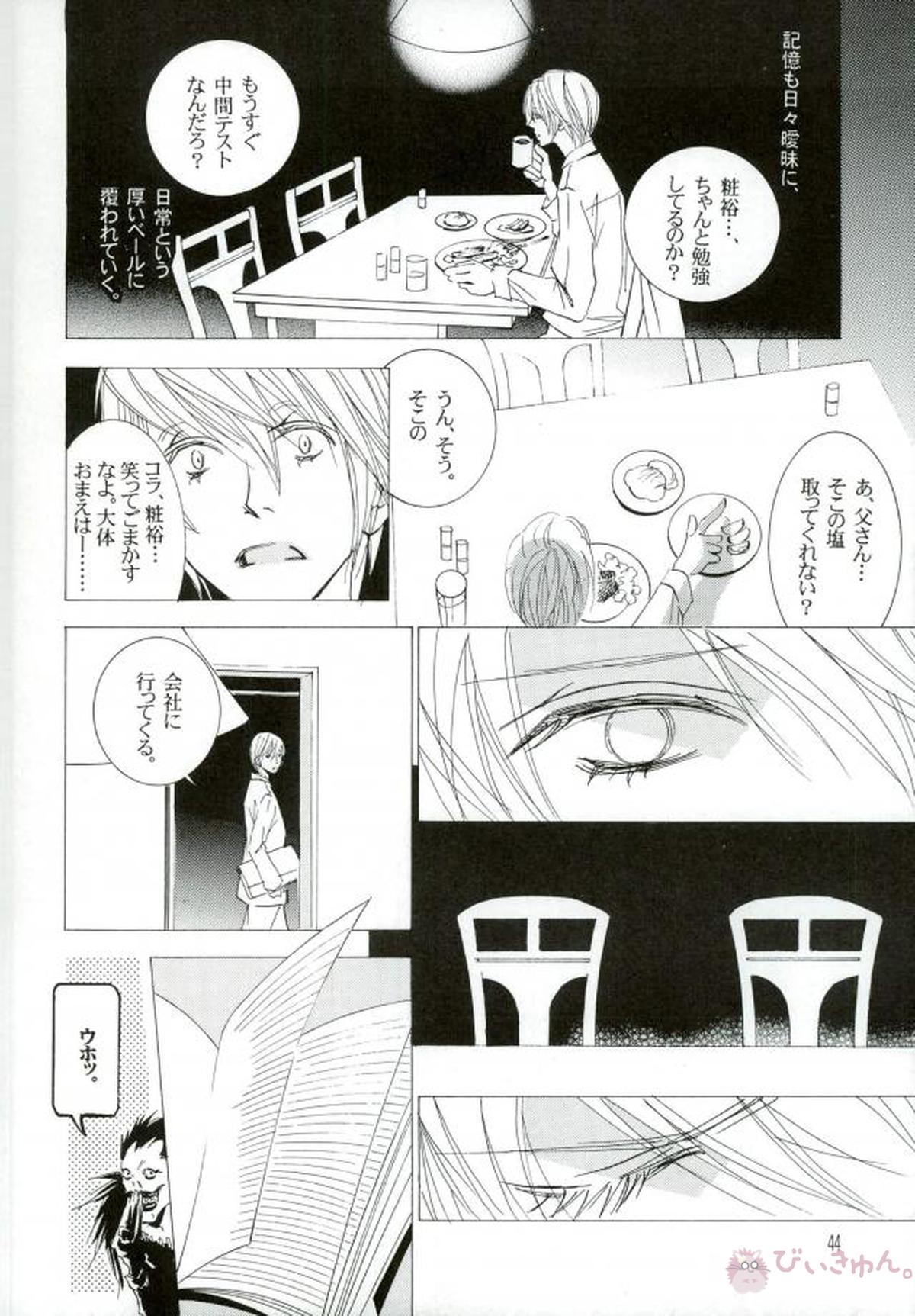 DISAPPEAR DETHNOTE fanbook【DEATH NOTE/夜神月×L】 page 42