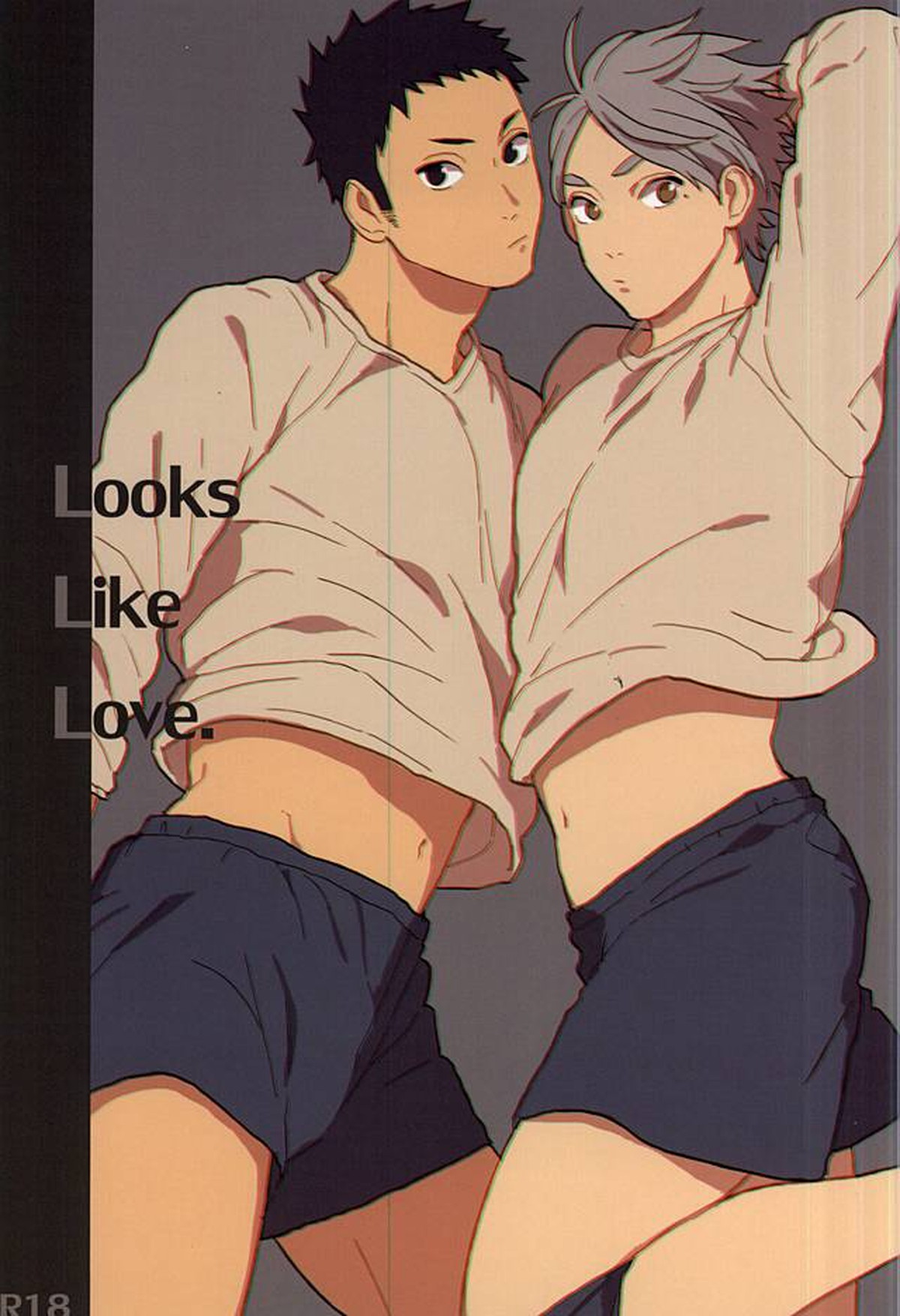 Recommended BL manga "Looks like love【ハイキュー!!/大菅】" cover image
