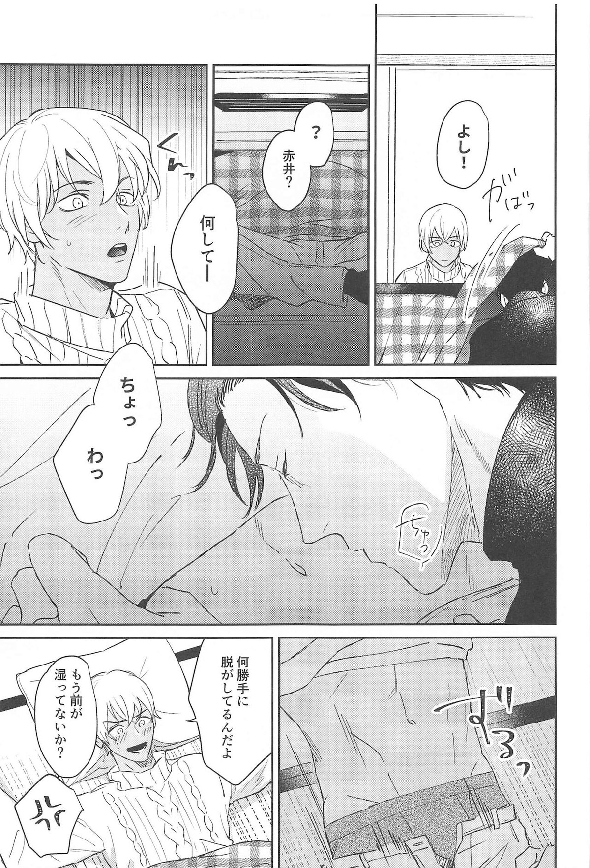 nuts web log AkaAm Web Sairokushuu【名探偵コナン/赤降(赤井×降谷)】 page 24