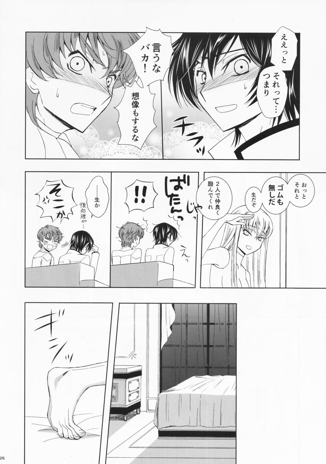 Dual zero Trick【コードギアス/スザルル】 page 24