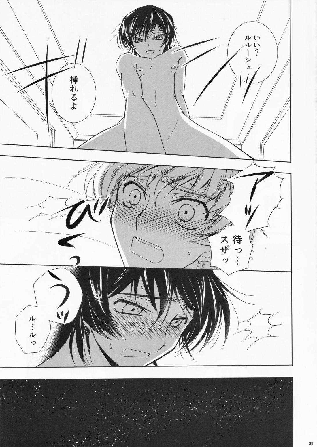 Dual zero Trick【コードギアス/スザルル】 page 27