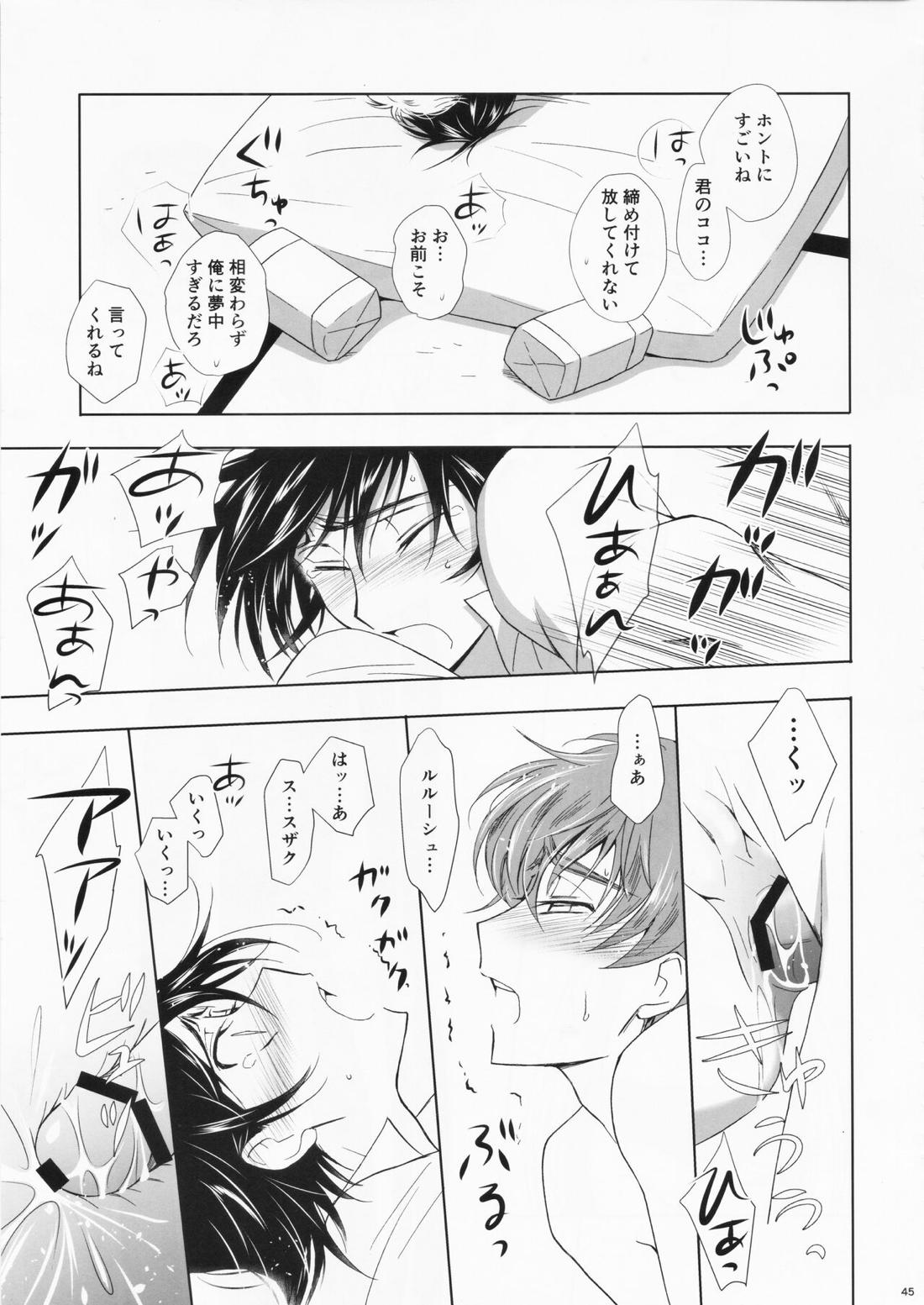 Dual zero Trick【コードギアス/スザルル】 page 43