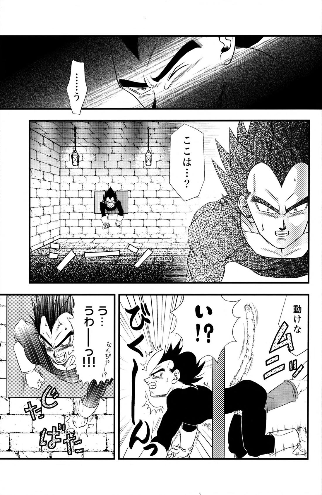 Dragonball Fan Book SPLASH!!!【ドラゴンボール/カカベジ】 page 12