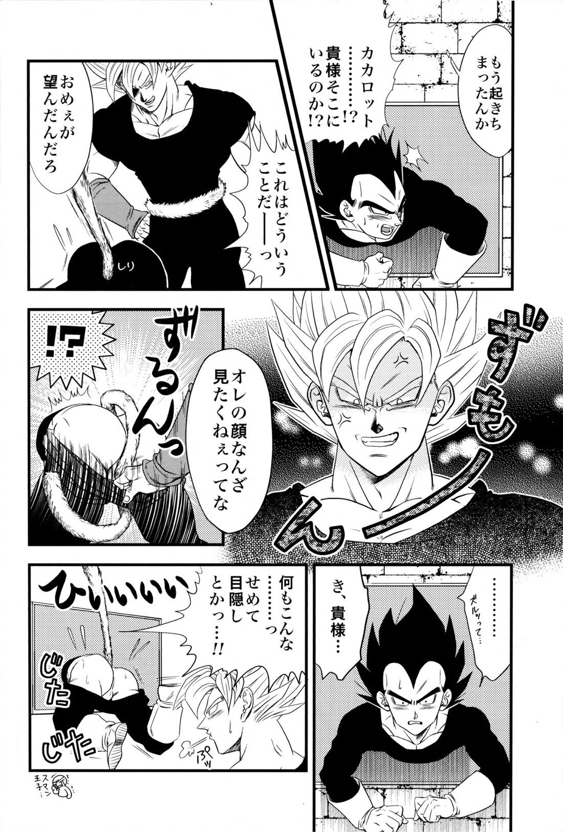 Dragonball Fan Book SPLASH!!!【ドラゴンボール/カカベジ】 page 13