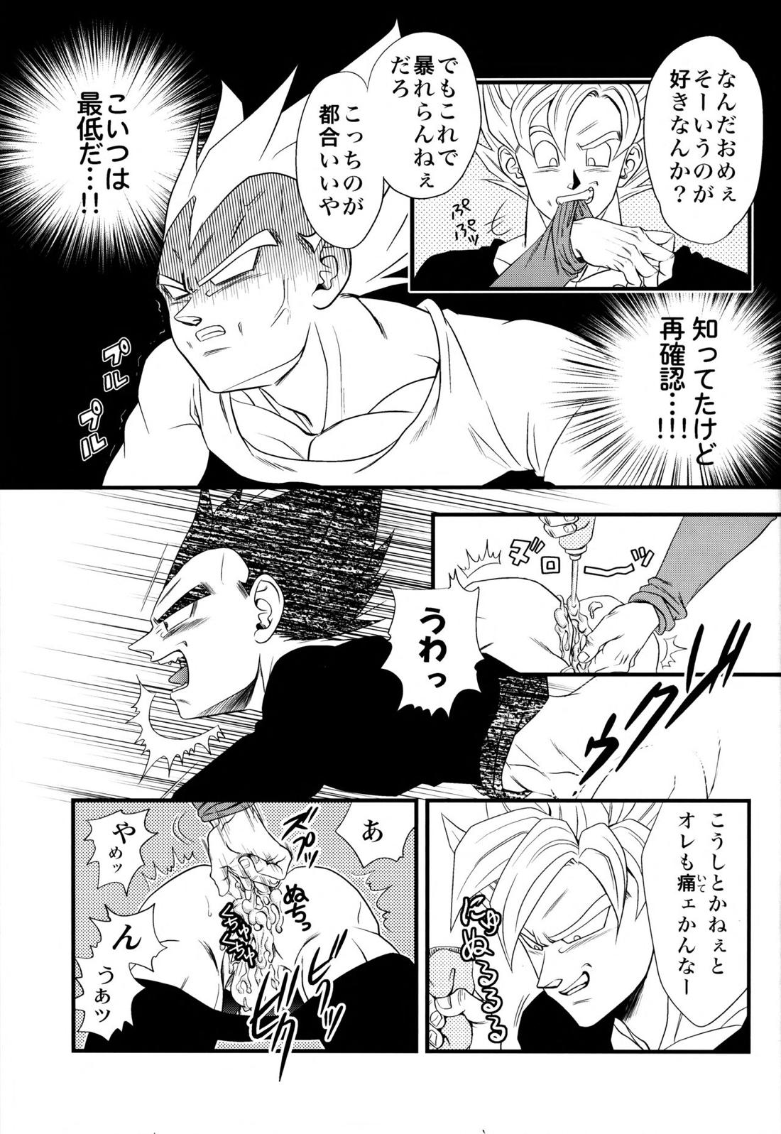 Dragonball Fan Book SPLASH!!!【ドラゴンボール/カカベジ】 page 14