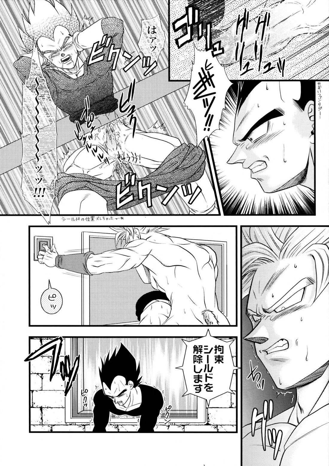 Dragonball Fan Book SPLASH!!!【ドラゴンボール/カカベジ】 page 16