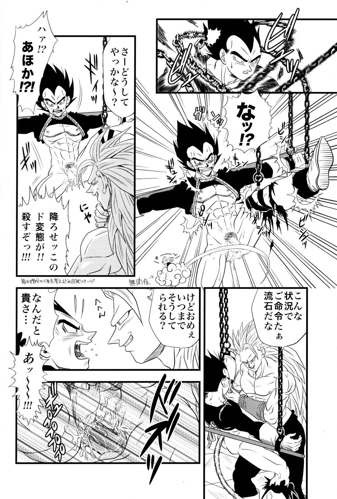 Dragonball Fan Book SPLASH!!!【ドラゴンボール/カカベジ】 page 19