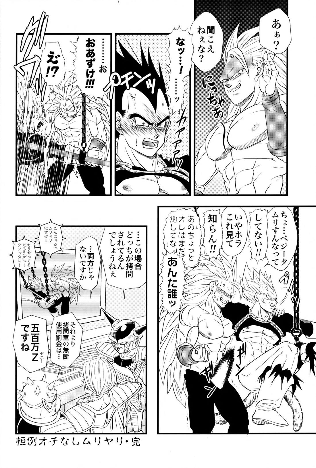 Dragonball Fan Book SPLASH!!!【ドラゴンボール/カカベジ】 page 21