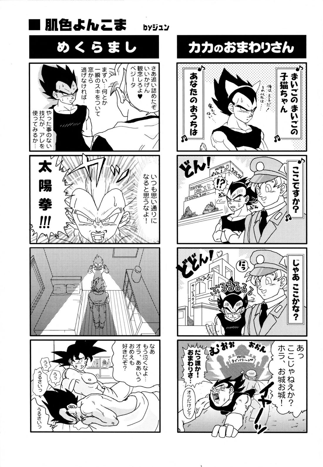 Dragonball Fan Book SPLASH!!!【ドラゴンボール/カカベジ】 page 22