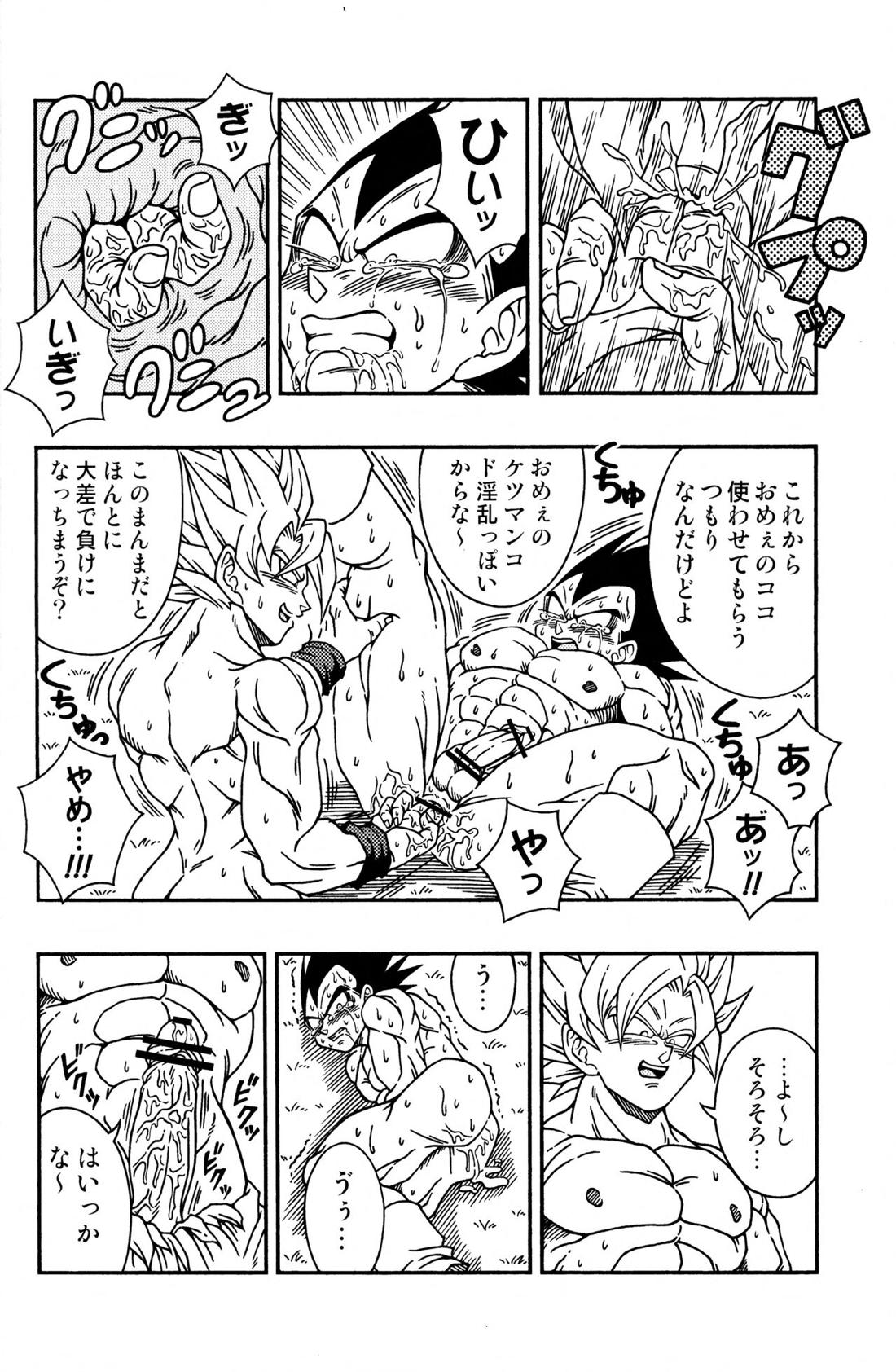 Dragonball Fan Book SPLASH!!!【ドラゴンボール/カカベジ】 page 29
