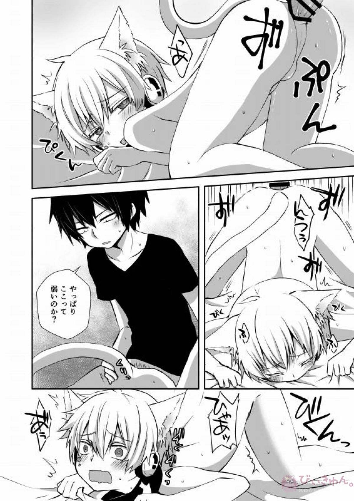 ねこコノハのじじょう【カゲロウプロジェクト/シンコノ】 page 14