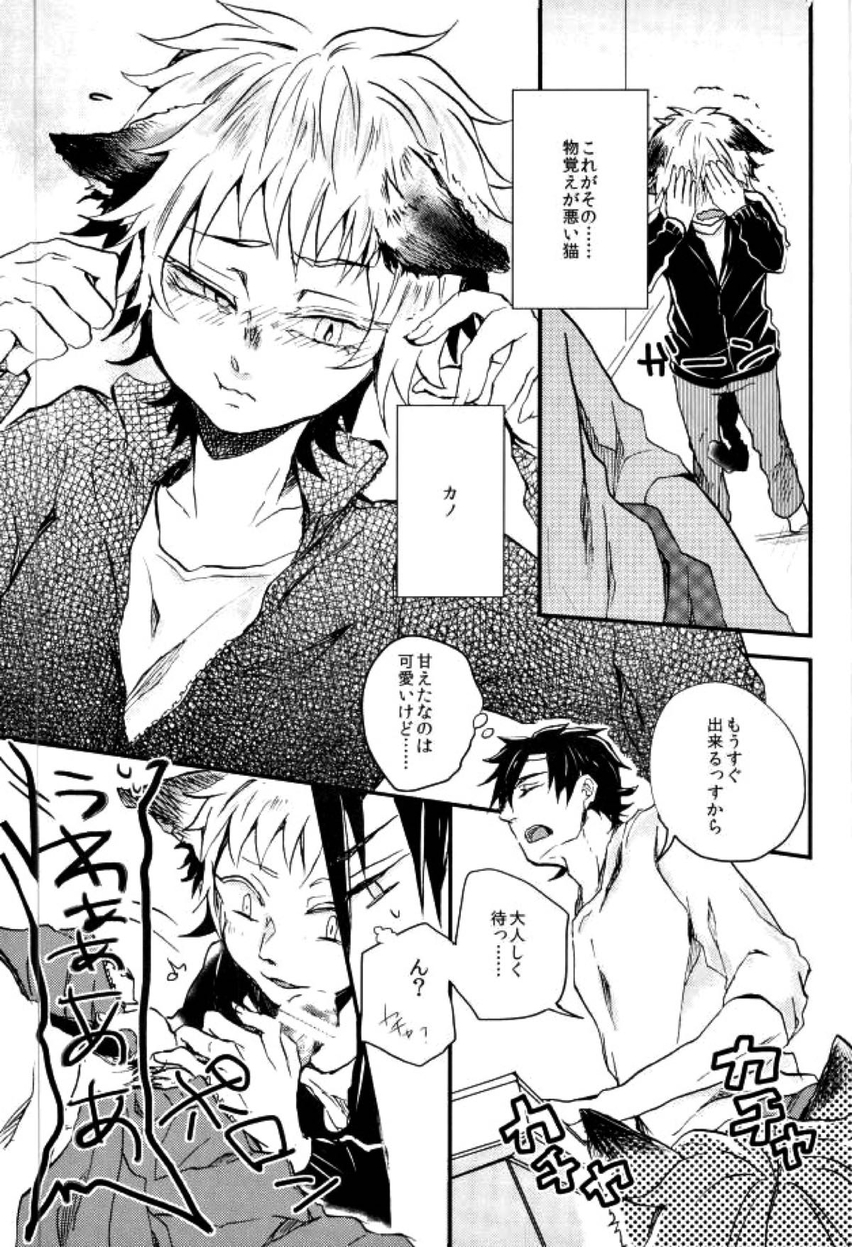 ウソツキネコ【カゲロウプロジェクト/セトカノ】 page 25