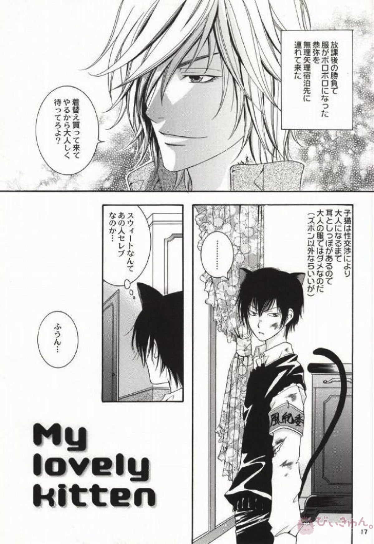 My lovely kitten【家庭教師ヒットマンREBORN!/ディノヒバ】 page 14