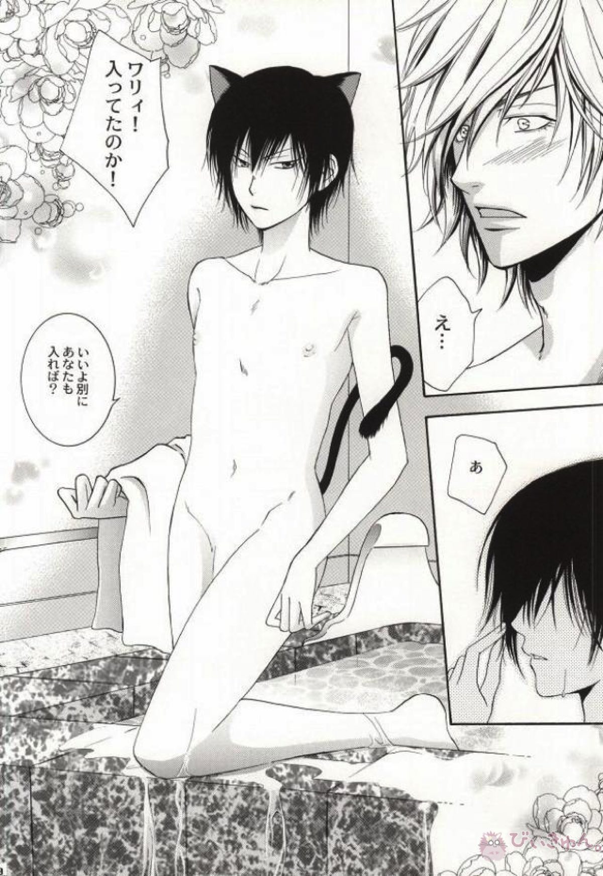 My lovely kitten【家庭教師ヒットマンREBORN!/ディノヒバ】 page 17