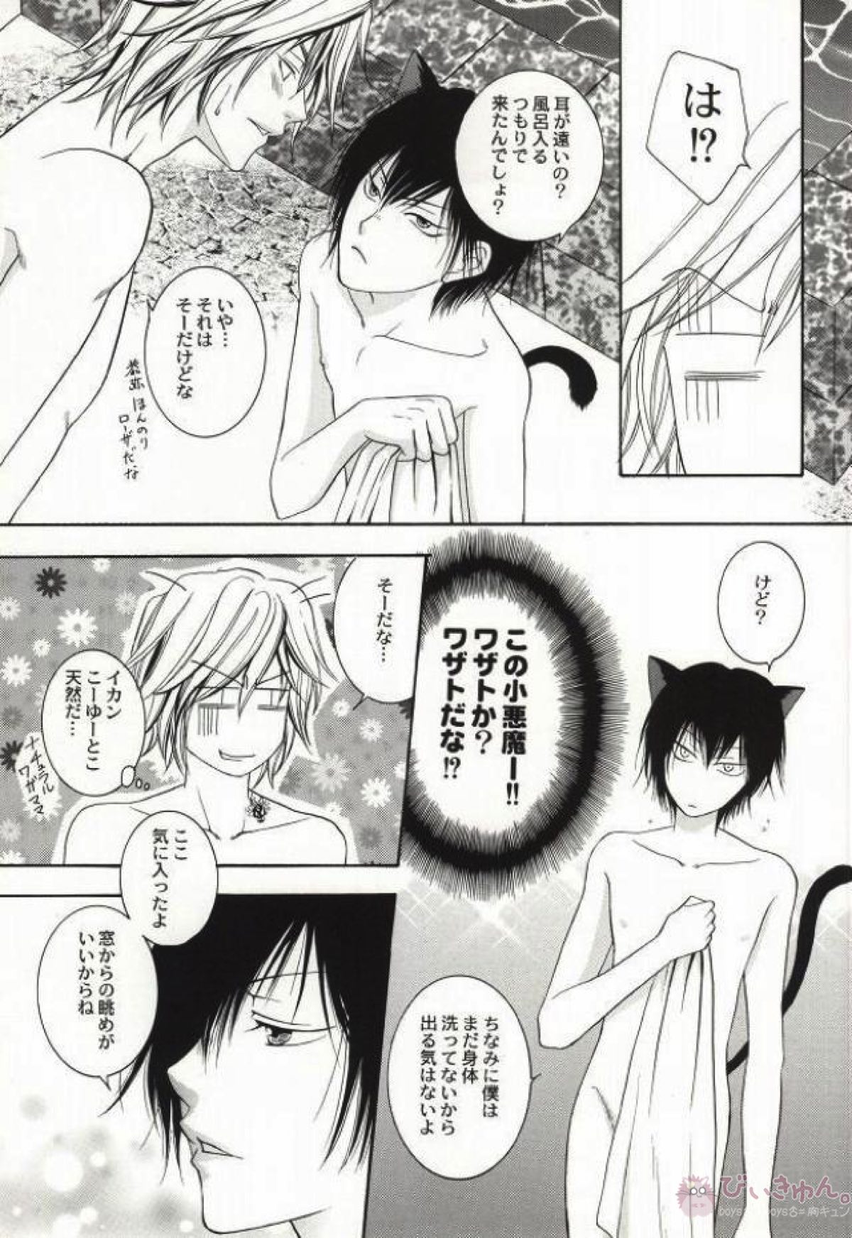 My lovely kitten【家庭教師ヒットマンREBORN!/ディノヒバ】 page 18