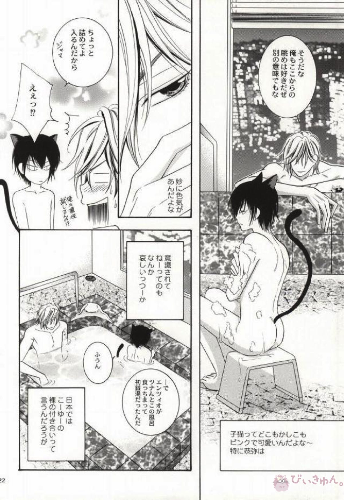 My lovely kitten【家庭教師ヒットマンREBORN!/ディノヒバ】 page 19