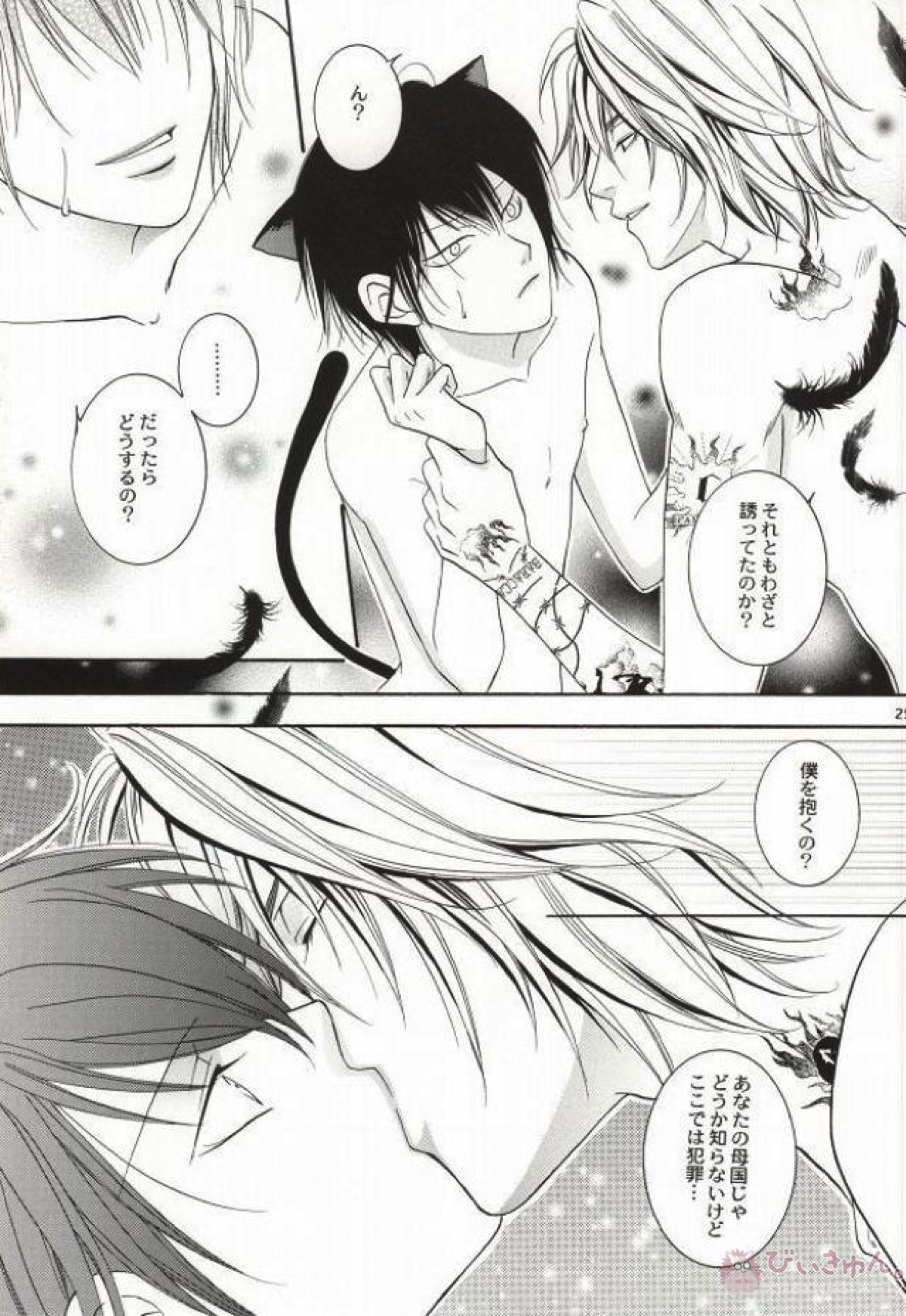 My lovely kitten【家庭教師ヒットマンREBORN!/ディノヒバ】 page 22