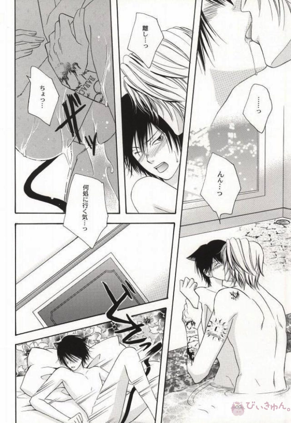 My lovely kitten【家庭教師ヒットマンREBORN!/ディノヒバ】 page 23