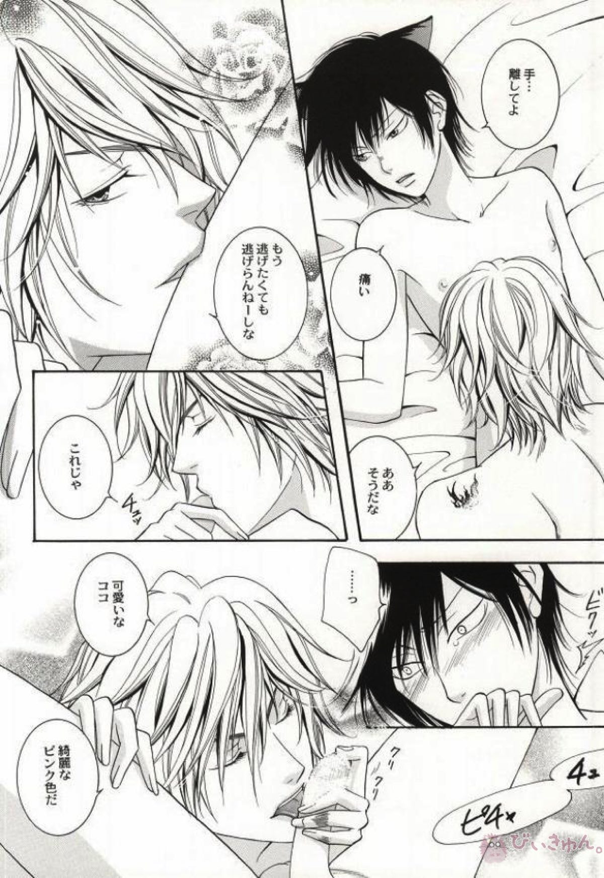 My lovely kitten【家庭教師ヒットマンREBORN!/ディノヒバ】 page 25