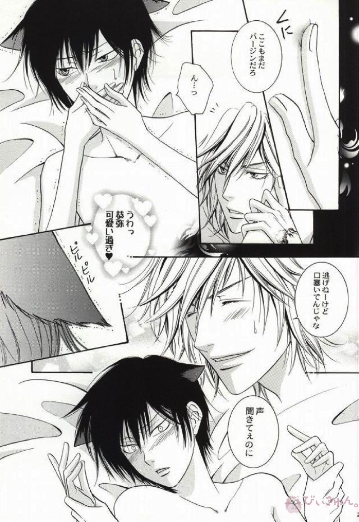 My lovely kitten【家庭教師ヒットマンREBORN!/ディノヒバ】 page 26