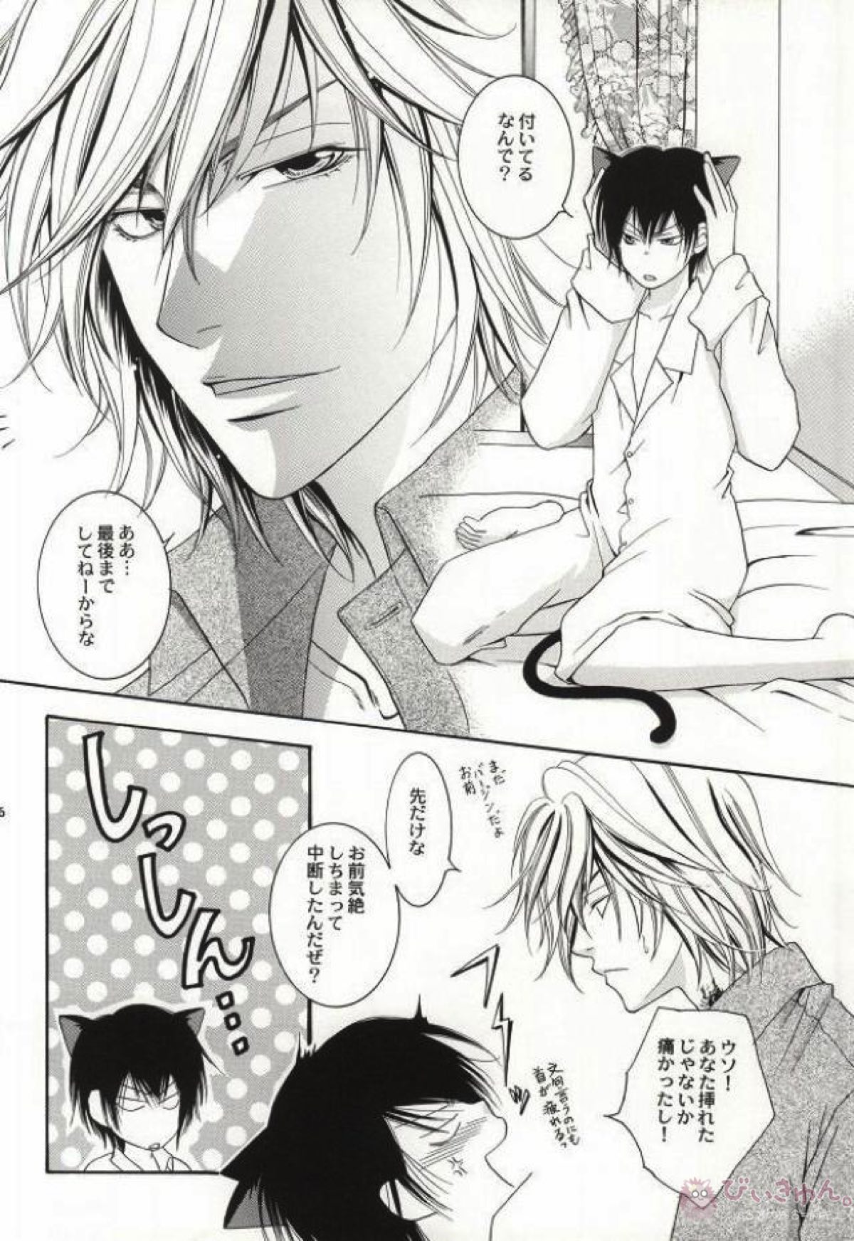 My lovely kitten【家庭教師ヒットマンREBORN!/ディノヒバ】 page 33