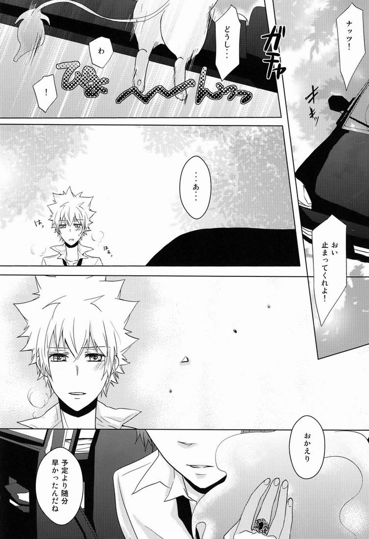 軌跡【家庭教師ヒットマンREBORN!/エンツナ】 page 13