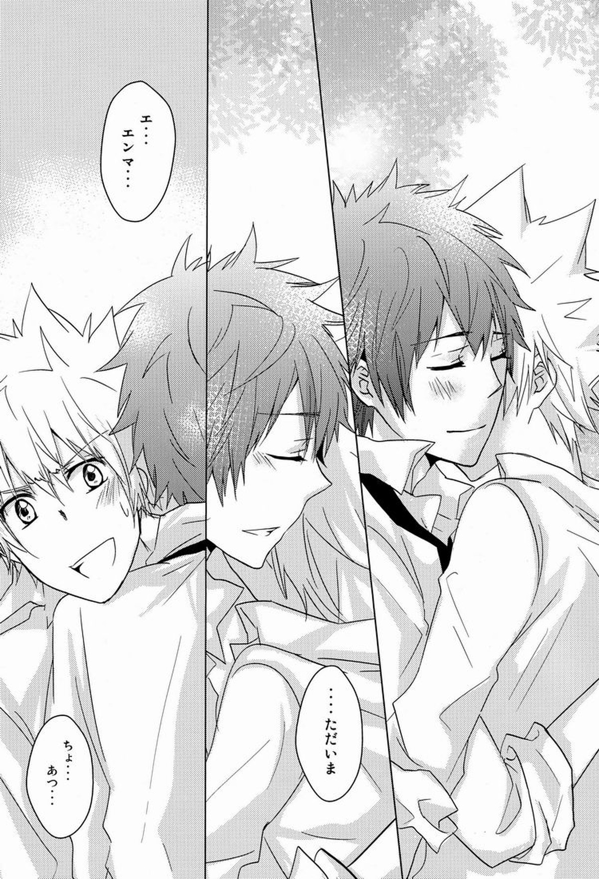 軌跡【家庭教師ヒットマンREBORN!/エンツナ】 page 15