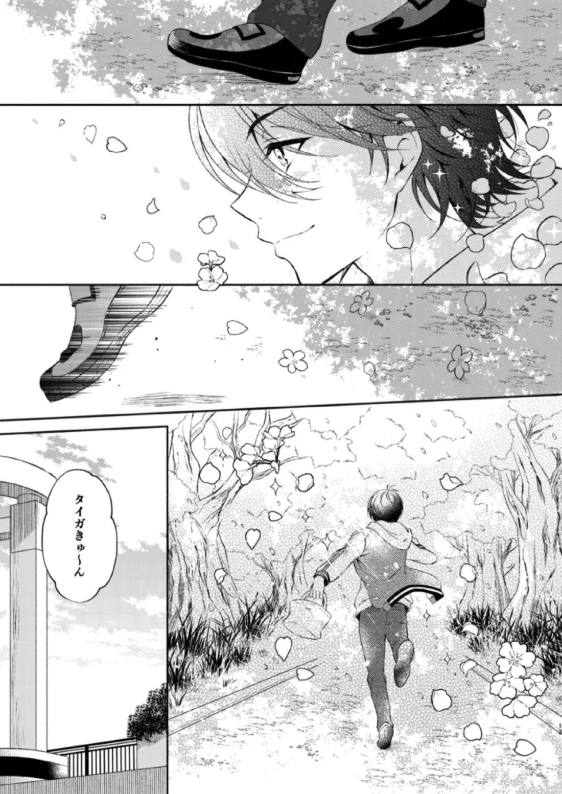 桜の君と恋するハート【KING OF PRISM by PrettyRhythm/タイカケ】 page 12